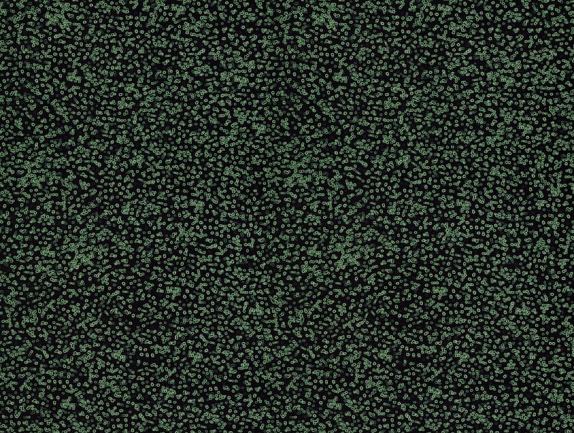 Flotex by Sottsass - 990102 Bacteria